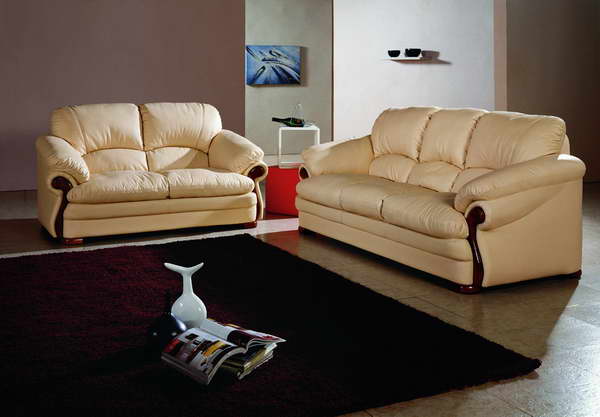 leather sofa E563