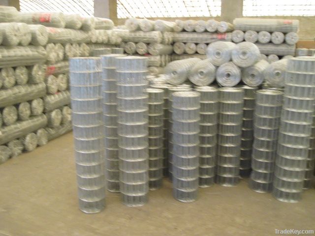 Galvanized Welded Wire Mesh