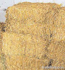 Hay; Boma Rhodes Grass, Wheat Straws, Barley Straws, Baler Twines