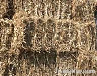 Hay; Boma Rhodes Grass, Wheat Straws, Barley Straws, Baler Twines