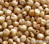 Maize | Maize Exporter | Corn Grain Seller | Maize Buyer | Bulk Maize Grain Importer | Corn bean Buyer | Corn bean Wholesaler | Corn Grain Manufacturer | Best Quality Corn Grain | Cheap Maize Supplier | Low Price Corn | Yellow Corn | White Cron | Baby Mai