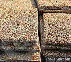 RAW MATERIALS - such as Cotton Seed Cake, Wheat Bran, Wheat Pollard, M