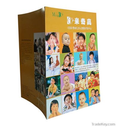 LIDI folded brochure printing for children school