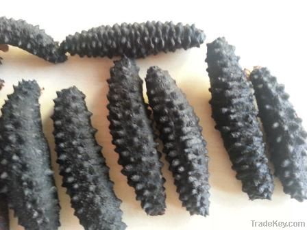 dried sea cucumber