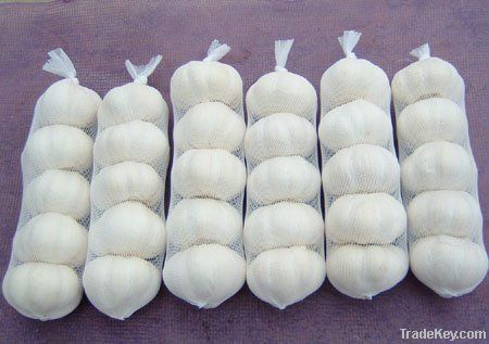 china garlic