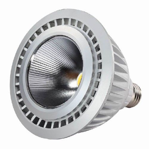 16W LED PAR38