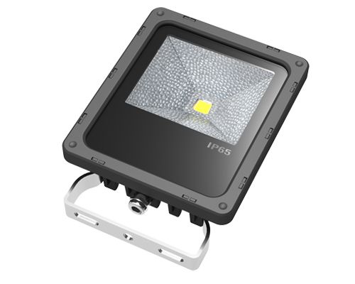 IP67 LED Floodlight (Hz-SDD30WB)