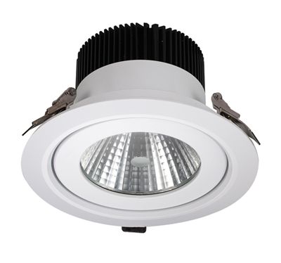 COB LED downlight 30W (HZ-TDQ30W)