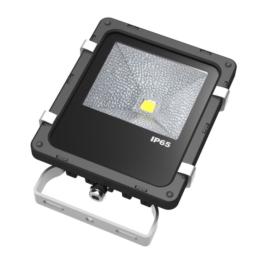 10W High Power Floodlight