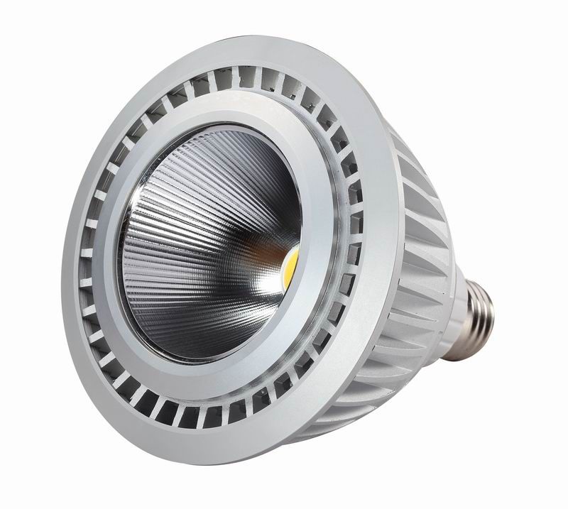 LED PAR30 Lighting 10w (HZ-DBP30-10W)