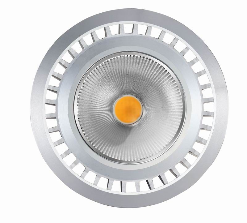 LED PAR30 Lighting 10w (HZ-DBP30-10W)