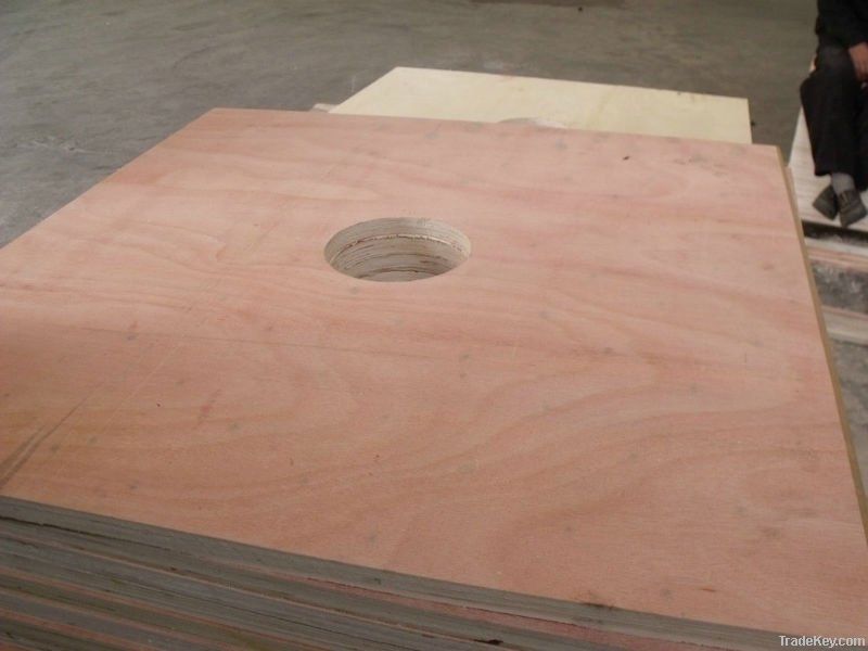 plywood with hole  diametre 6'