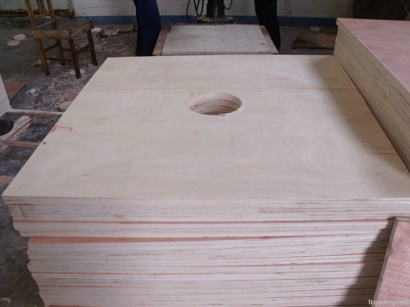 plywood with hole  diametre 6'
