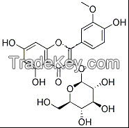 5041-82-7Isorhamnetin-3-O-Î²-D-Glucoside