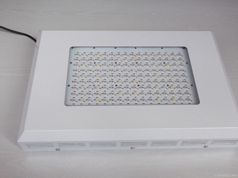 High quality 90w, 120w, 300w, 600w led plant light