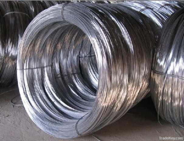 galvanized iron wire(factory)