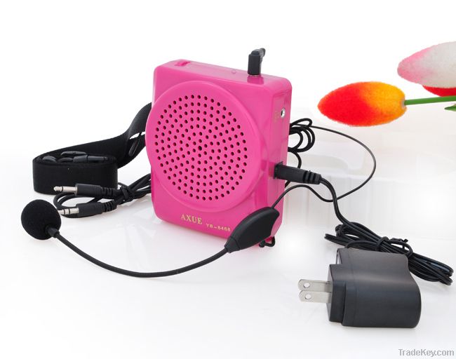 mini loudspeaker amplifier