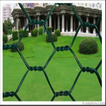 hexagonal wire mesh