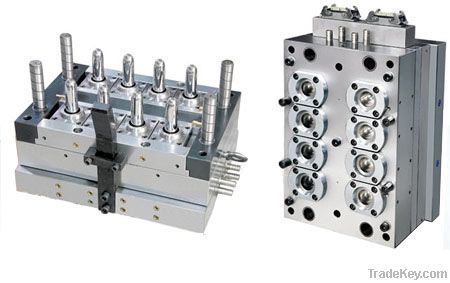 PET Preform Mould