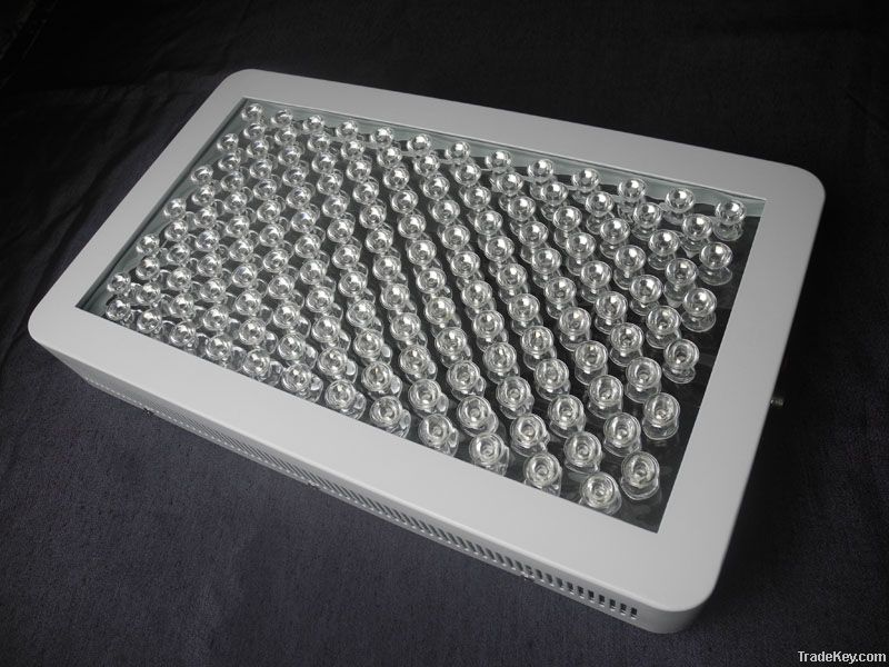 300w LED Grow Light with 300pcs 1w LEDs