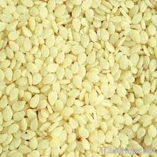 Yellow White Sesame Seeds