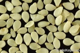 Yellow White Sesame Seeds
