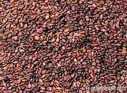 Brown Sesame Seeds