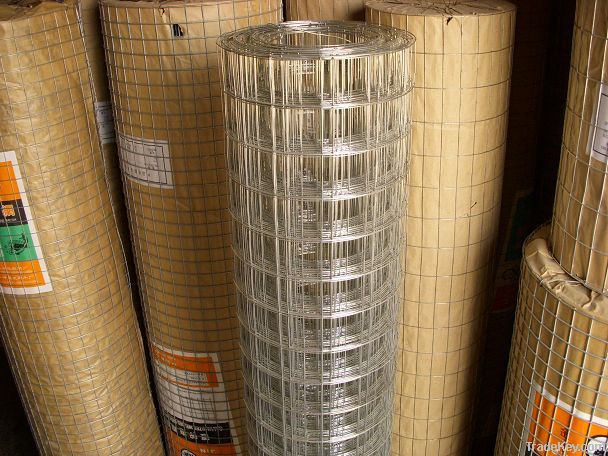 Welded Wire Mesh(Professional Manufacturer)