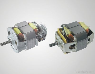 Electric Motor LH-8820