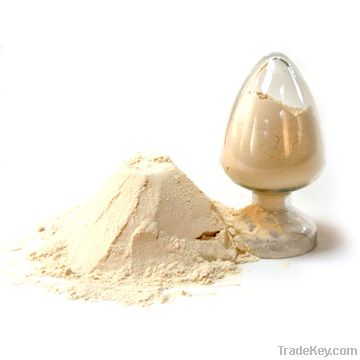 Soy Protein Isolate