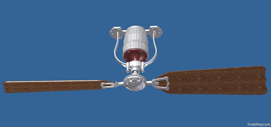 DC motor Innovation ceiling fan 2 blades