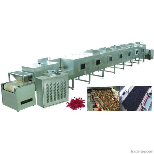 Tunnel-Type Microwave Sterilizing and Drying Machines