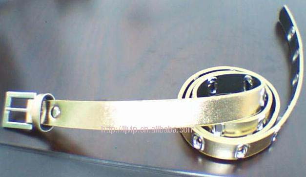 Fashion Belt(W001)