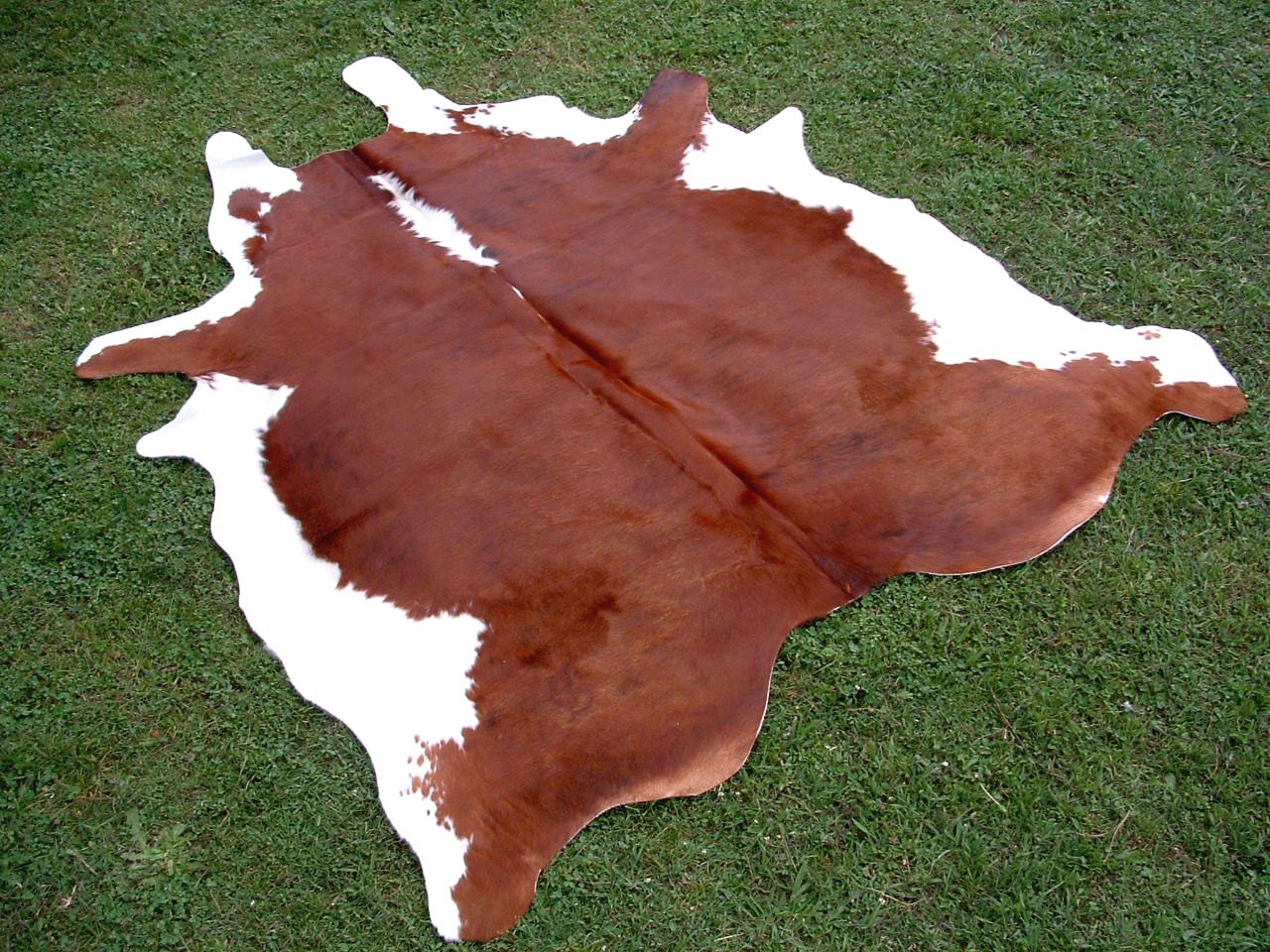 cowhides