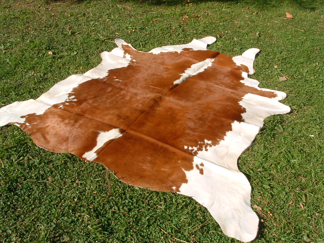 Cowhide Rugs Cowskin Cow Hide