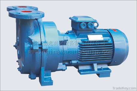 2BV(SKA) series liquid ring type vacuum pump