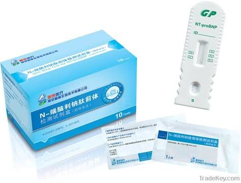 NT-proBNP Diagnostic Reagent Kit