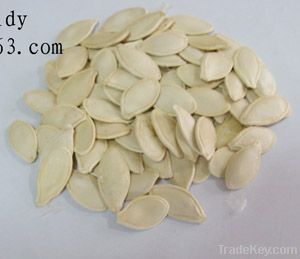 pumpkin seeds