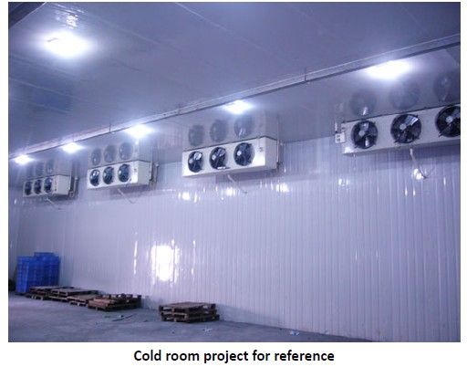 Cold Room For Vegetables,Meat,Fish And Fruit