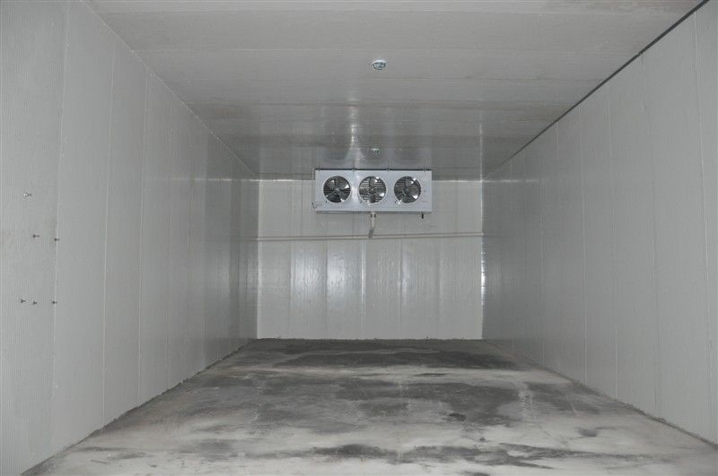 Cold Room For Vegetables,Meat,Fish And Fruit