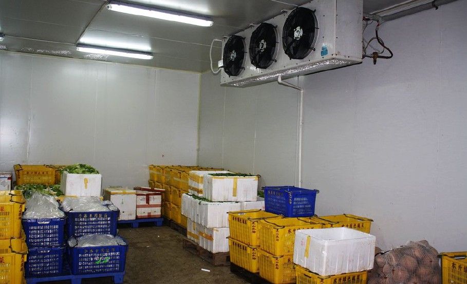 Combined Cold Room For Fruits