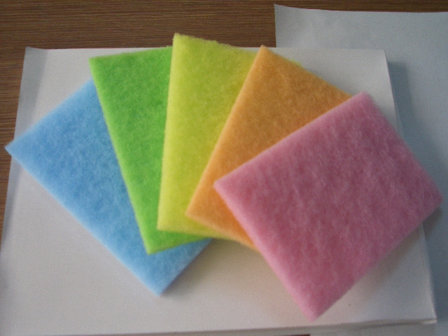 Scouring Pad