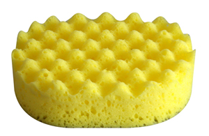 Sponge Scourer