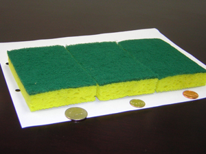 Sponge Scourer