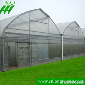 Multi-Span Plastic Greenhouse