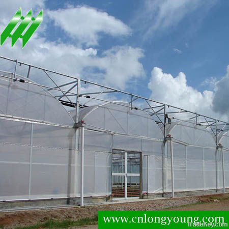 Multi-Span Plastic Greenhouse