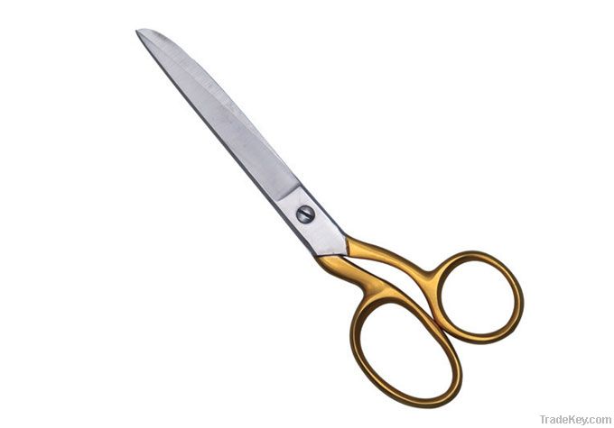 Taylor Scissor