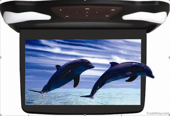 Car roof mount monitor with DVD