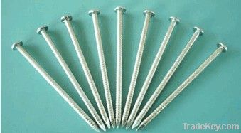 Galvanized ring shank nails