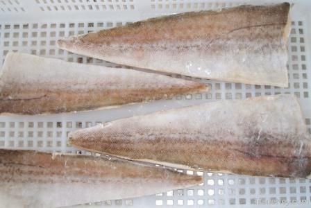 Pacific Hake (merluccius productus)